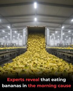Experts reveal that eating bananas in the morning cause