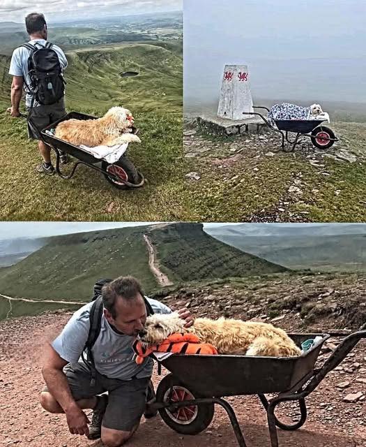 Only fur baby moms & dads know the feeling. It’s heartwarming!