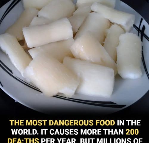 Toxic if improperly prepared: another side of a widely consumed food worldwide