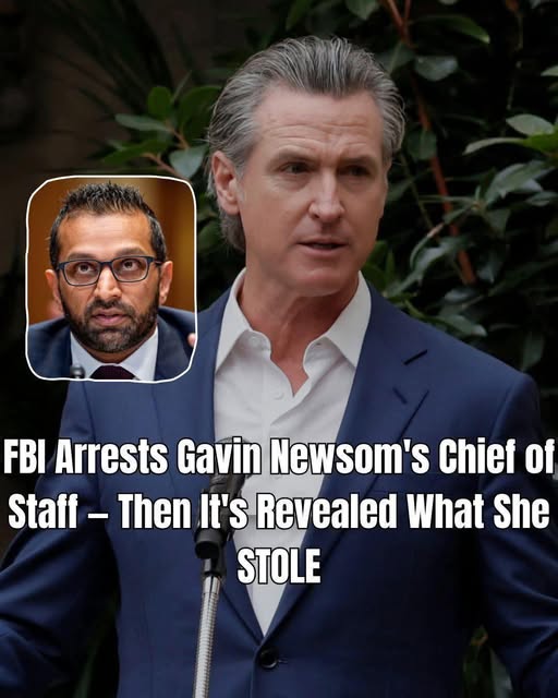 “Reports Claim FBI Action Involving Gavin Newsom’s Chief of Staff as New Details Emerge”