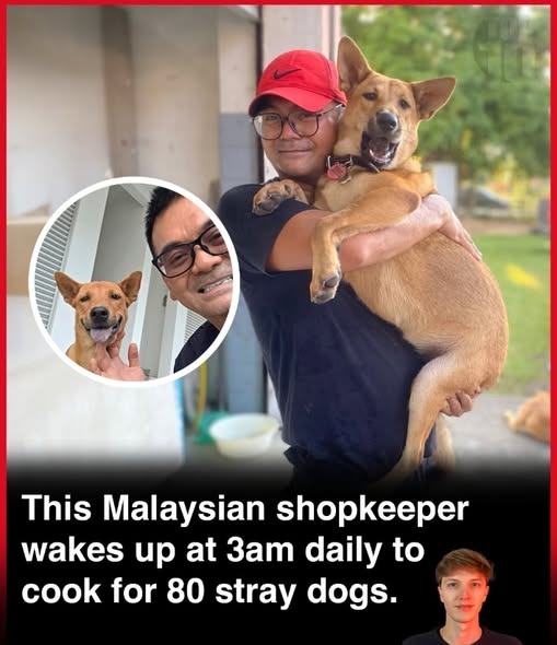 Meet Francis Ngu, the Bintulu hero for strays!