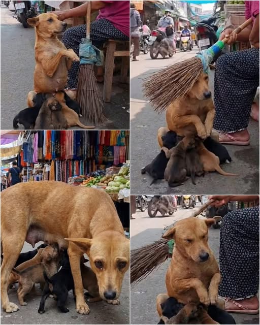 Sean Swayze, known as Patrick Swayze’s brother, dies at 63