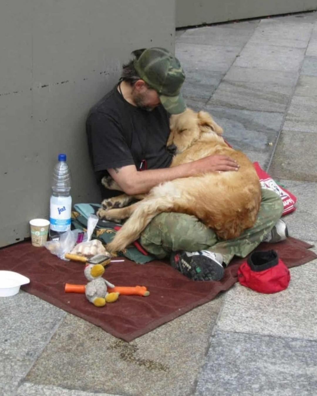 AN. When Love Has No Address: A Man and His Dogs