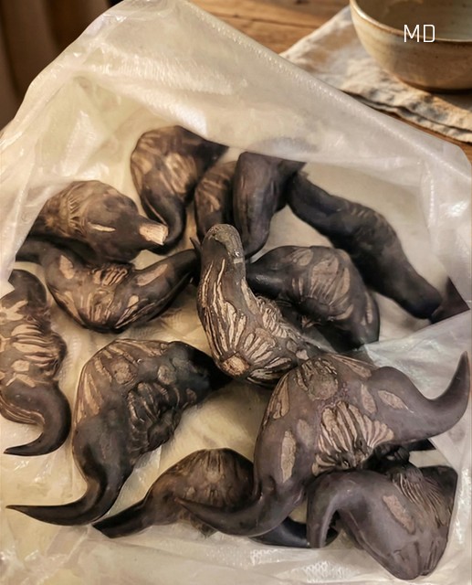 5 Warning Signs a Wild Forest Root