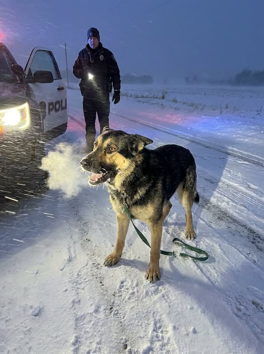 Part 2: A Snow-Covered Dog Stopped My Patrol Car in a Whiteout — Then Led Me to a Father Trapped Miles from His Newborn Child