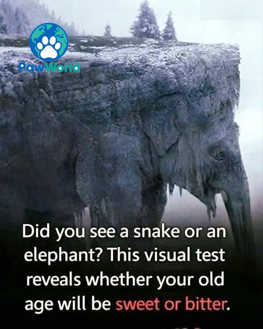 The First Animal You Notice May Reveal Something Surprising About Your Thinking Style