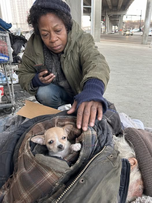 Part 2: A Homeless Woman Found a Puppy Alive Inside a Dead Man’s Coat Pocket — The Note Beside Him Gave Her the Reason Both of Them Needed to Survive