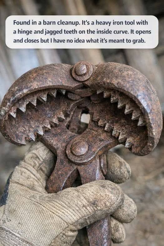 Found in a barn