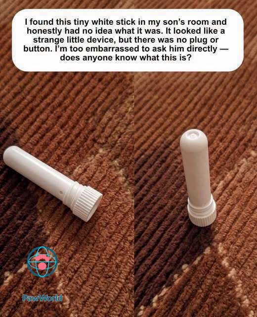 Woman Finds Tiny White Stick in Son’s Room and Has No Idea What It Is, but the Internet Quickly Solved the Mystery