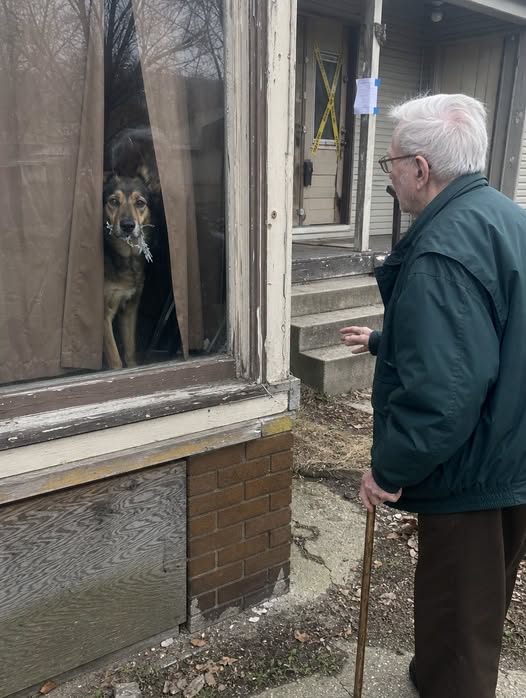 Part 2: An Elderly Man Saw a Dog’s Eyes Behind the Curtains of a Sealed House — What Police Found in the Bedroom Explained Two Months of Survival